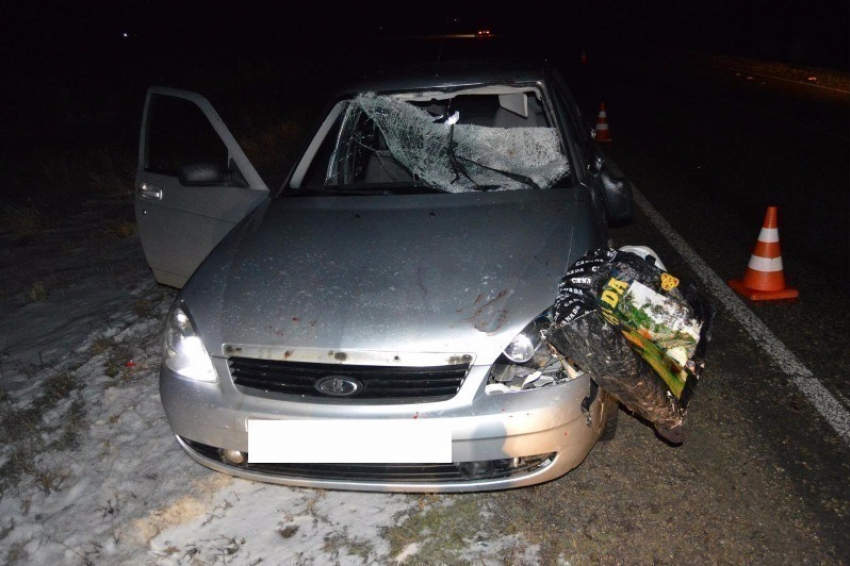 В новогоднюю ночь на Ставрополье погиб пешеход