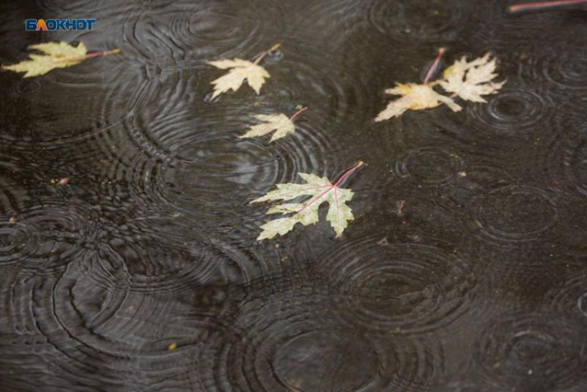 Дождь и гроза задержатся на Ставрополье 23 июля