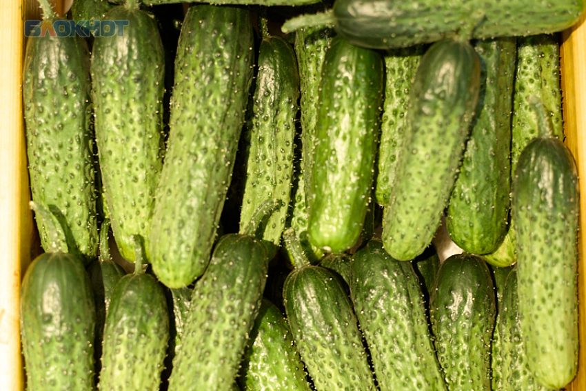 Огуречный шок и водочный рост: с какими ценами на продукты Ставрополье встретило Новый год