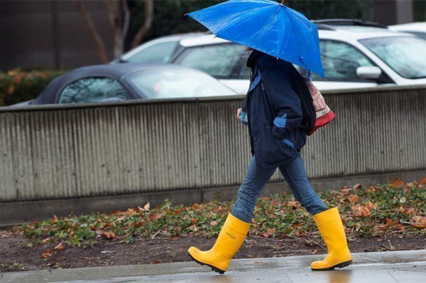 Середина рабочей недели на Ставрополье будет пасмурной 