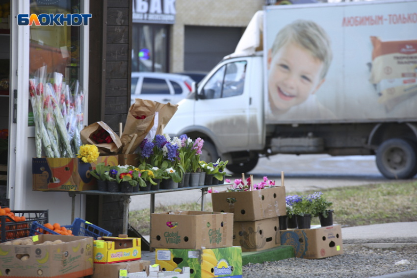 Где праздновать 8 марта в Ставрополе: программа культурных мероприятий города