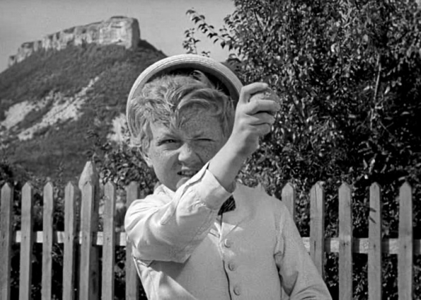 За «обстрел» детьми поезда алычой в Пятигорске ответят их родители