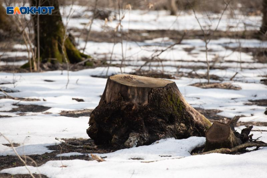 Температурные качели от -4 до +7 градусов ожидаются 21 декабря в Ставропольском крае