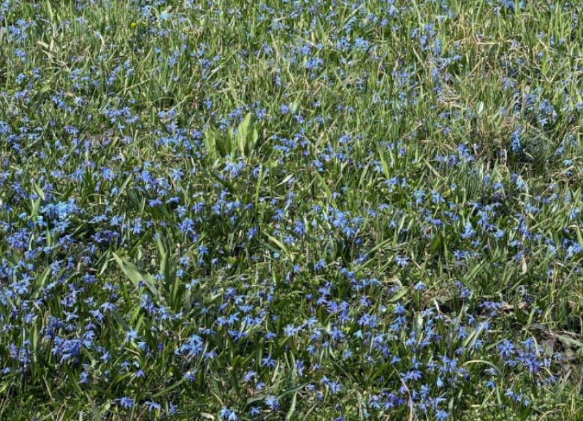 Погода на 2 апреля в Ставрополе: воздух прогреется до +17 