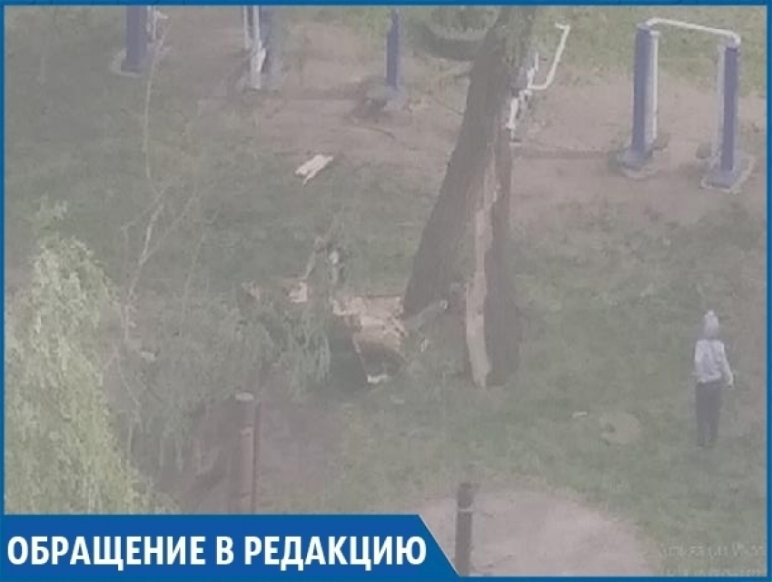 "Сильный ветер снёс дерево на детской площадке, а коммунальщикам до этого нет дела", - житель Ставрополя