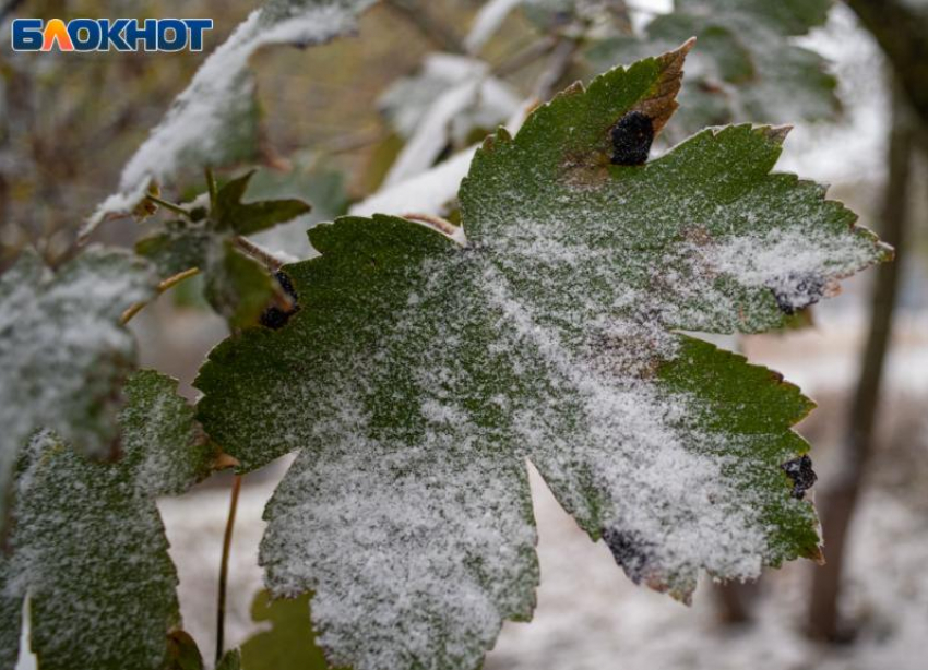 Снег с дождем и до -3 ночью: Ставрополь встречает апрель по-зимнему 