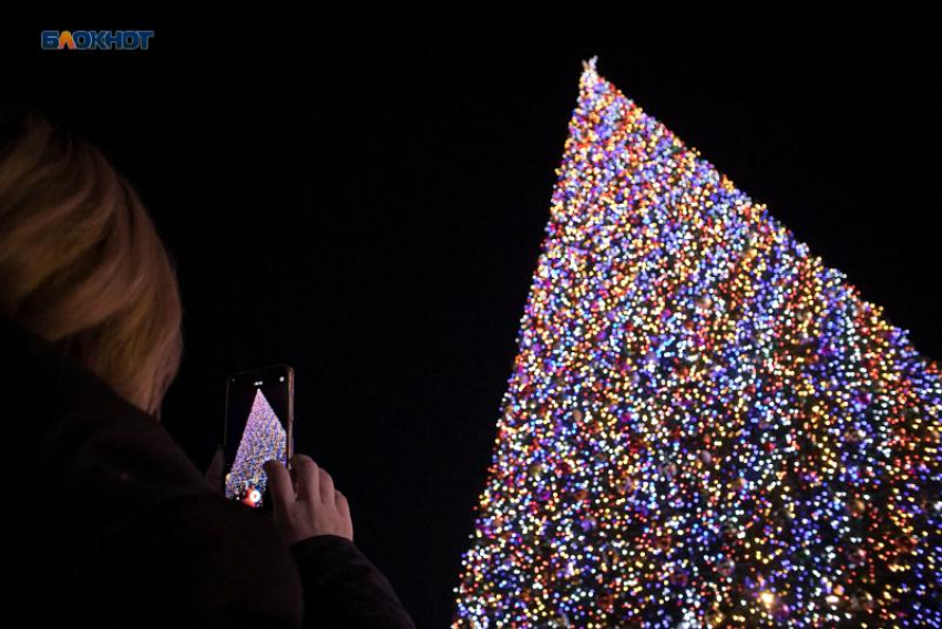 Главную новогоднюю елку Ставрополья откроют 19 декабря