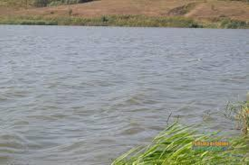Местных жителей не пускают бесплатно рыбачить на ставропольский пруд
