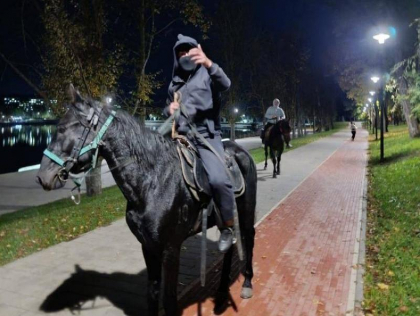 За избиение пенсионеров плеткой всадник из Кисловодска получил срок