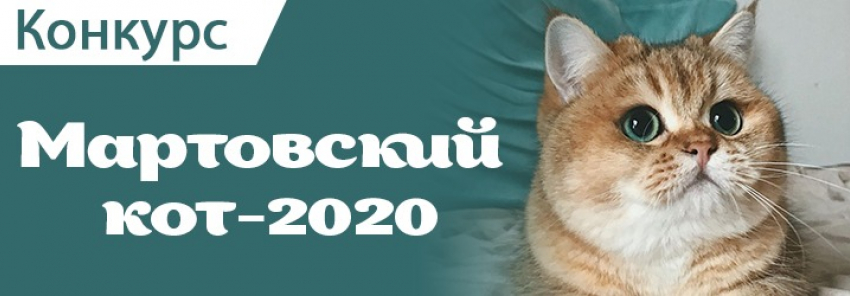 Мартовский кот