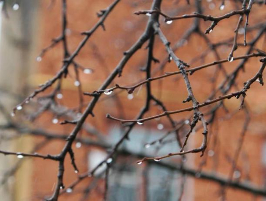 В среду в Ставрополе потеплеет