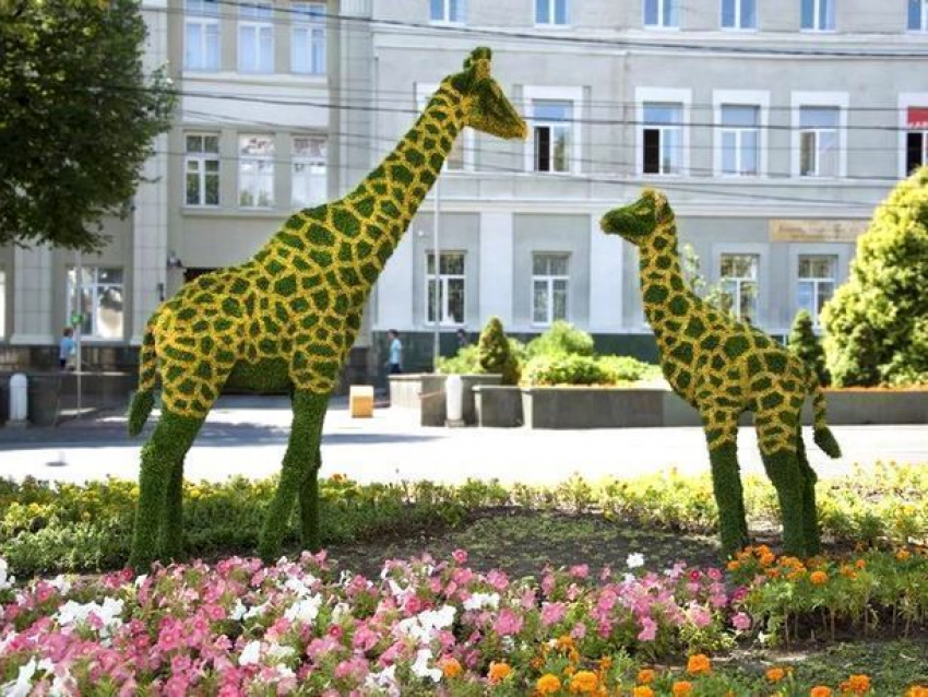 Солнце и +26 обещают ставропольцам в четверг