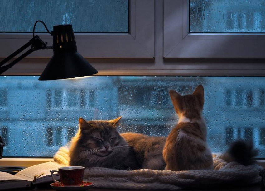 В четверг в Ставрополе будет прохладно и пасмурно