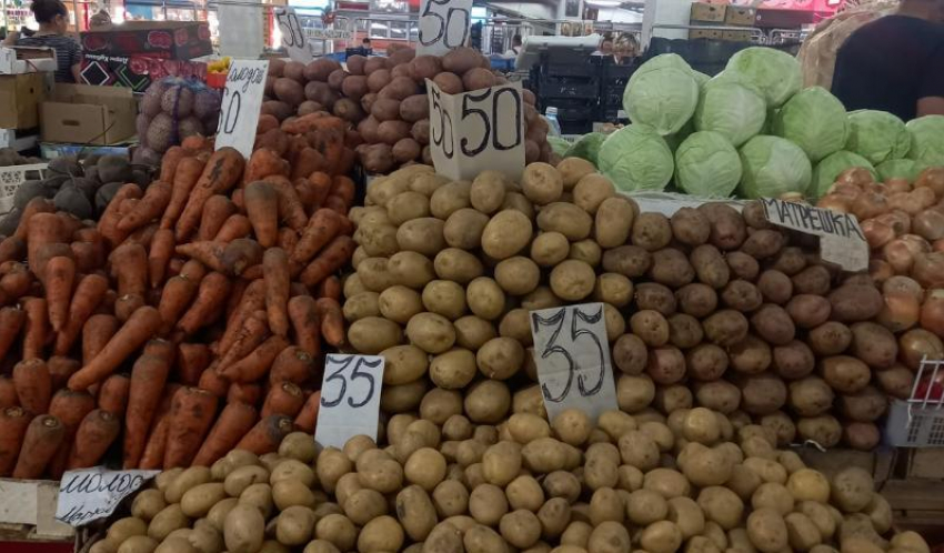 «55 рублей за килограмм? Ешьте ее сами»: почему на Ставрополье дорожает картофель