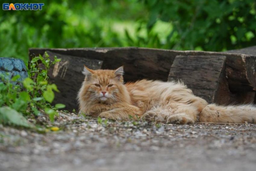 Ветер и пасмурная погода вернутся в Ставрополь 18 апреля