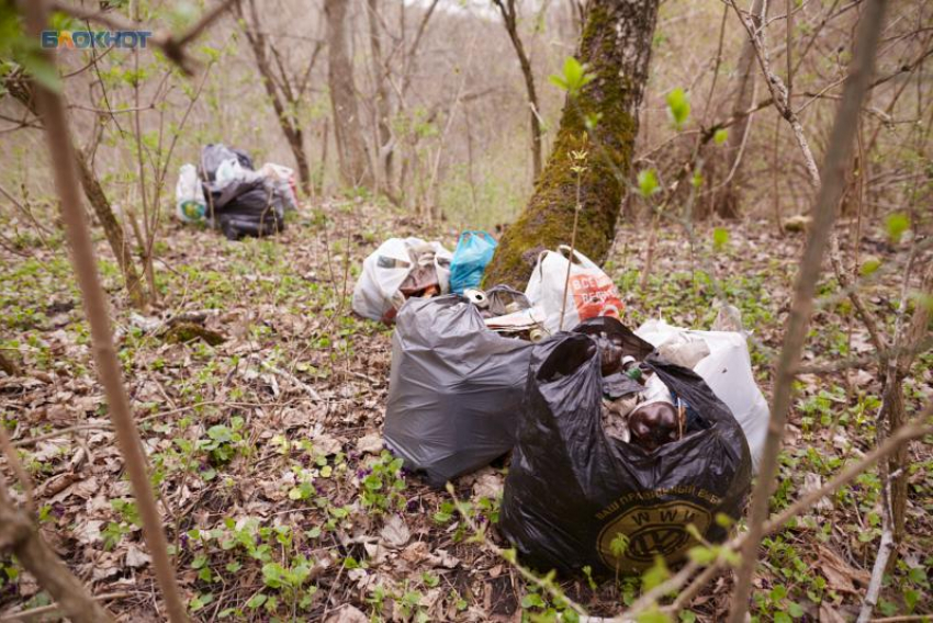 Тарифы за вывоз ТКО дважды повысят на Ставрополье в 2026-м году
