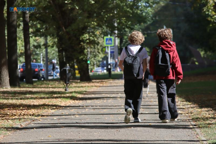Занятия для первой смены в школах Ставрополья прекращены из-за беспилотной опасности 23 апреля