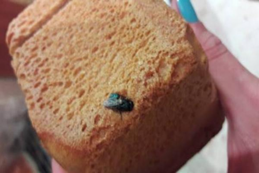 Хлеб с зеленой мухой приобрела жительница Ставрополя к ужину