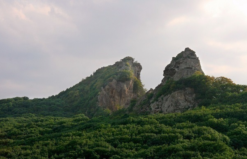 Площадь памятников природы Ставрополья увеличилась почти на 3 тысячи гектаров