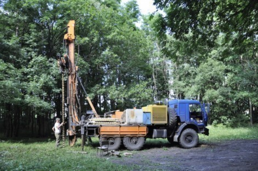 Вырубку Таманского леса в Ставрополе предотвратили жители краевой столицы