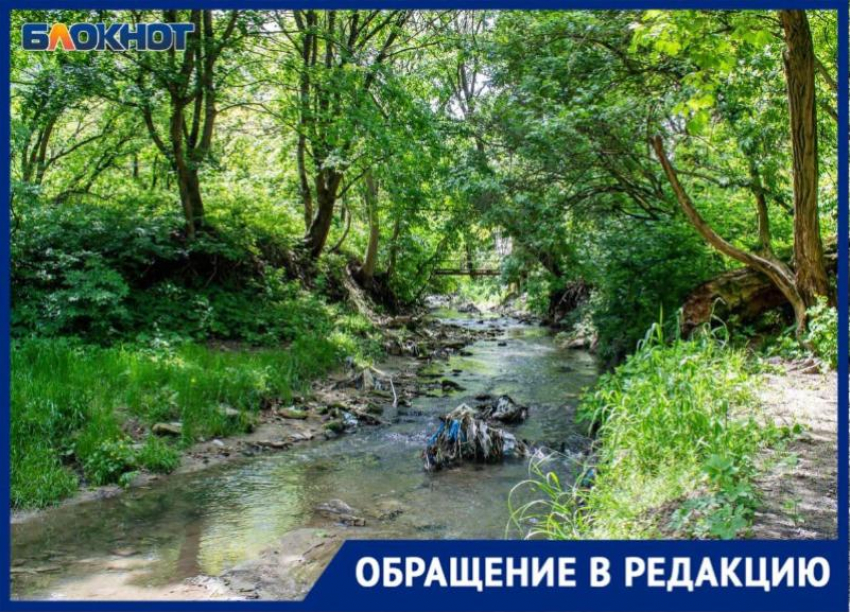 Никто не хочет разбираться: ставропольчанка пожаловалась на сбросы фекалий в реку Ташла