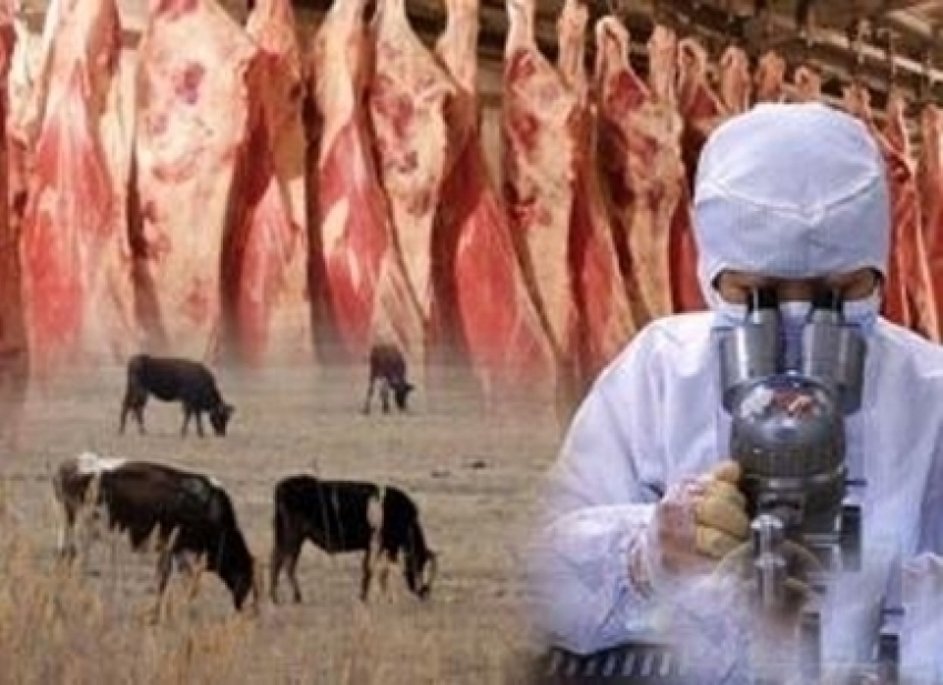 На Ставрополье предприниматель мог сбывать мясо, зараженное опасной инфекцией