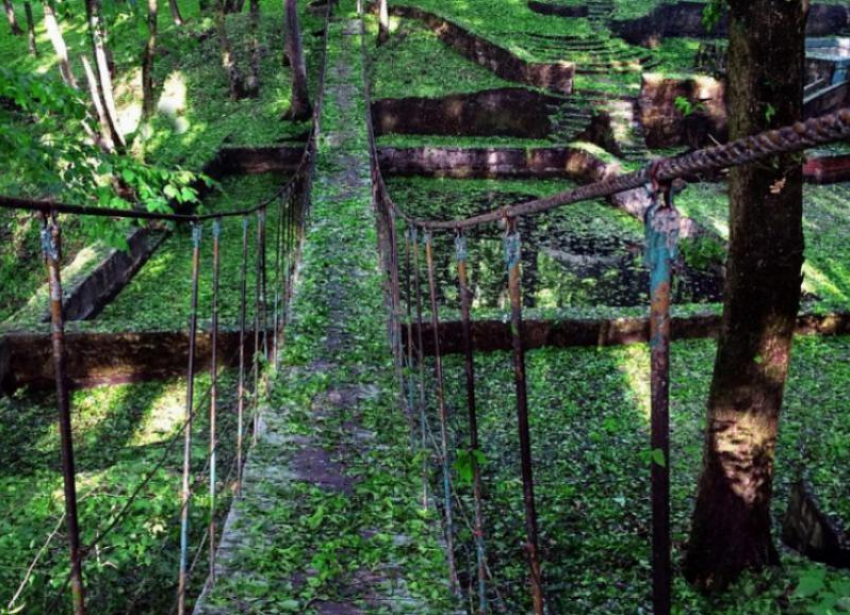 Более 6,5 миллиона рублей власти готовы пустить на благоустройство Таманской дачи в Ставрополе