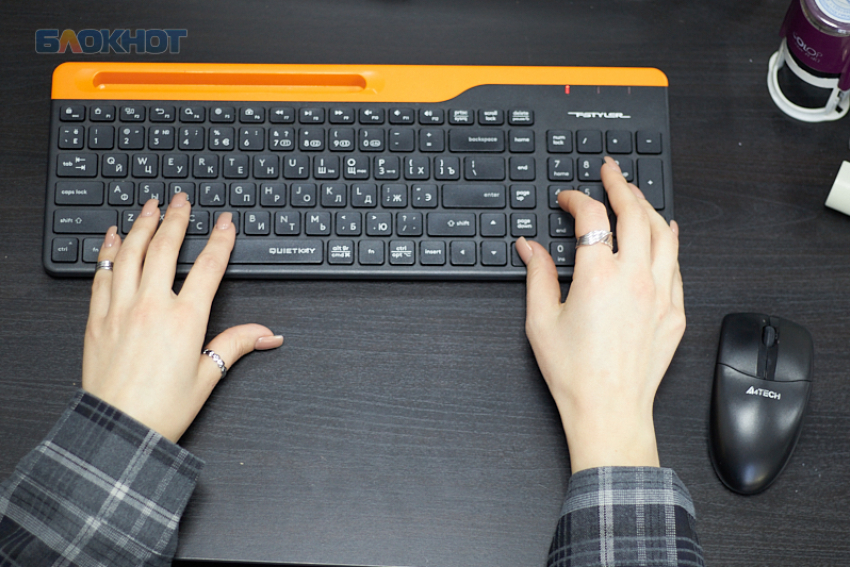 Успешно устроиться на работу на Ставрополье помогут коммуникабельность и компьютерная грамотность