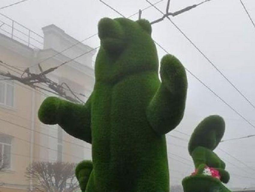 Зеленого медведя привезли в центр Ставрополя