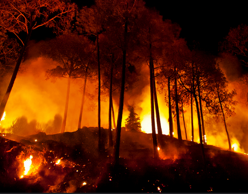 На Ставрополье сохраняется чрезвычайная пожароопасность