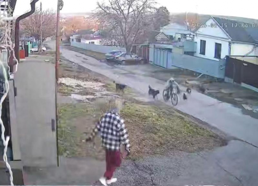 Уголовное дело возбудили в Ессентуках после нападения собак на мальчика