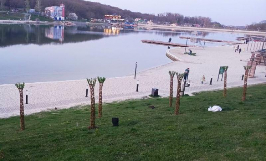 В ходе подготовки к купальному сезону на Комсомольском пруду в Ставрополе высадили плетеные ивы 
