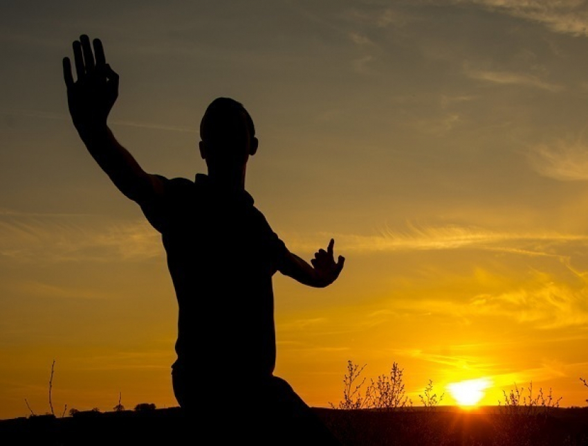 Всемирный день цигун отметят в «Гармонии» под Ставрополем 