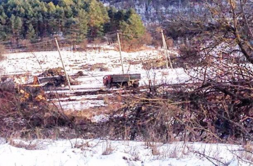 Природоохранный прокурор предупредил Главу и Председателя Думы Кисловодска о недопустимости застройки заповедной зоны лесов