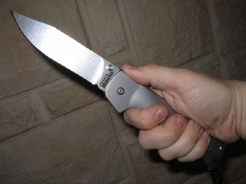 Порезавший ножом племянника житель Донского получил два года