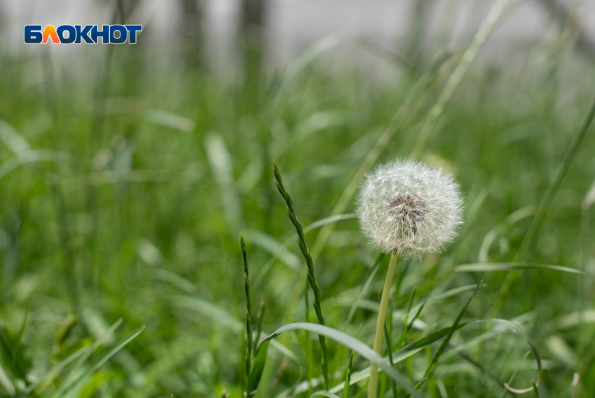 Резкое потепление до +23 градусов придет на Ставрополье в начале недели