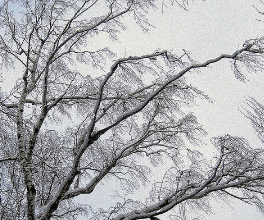 На Ставрополье вновь ожидается сильный ветер