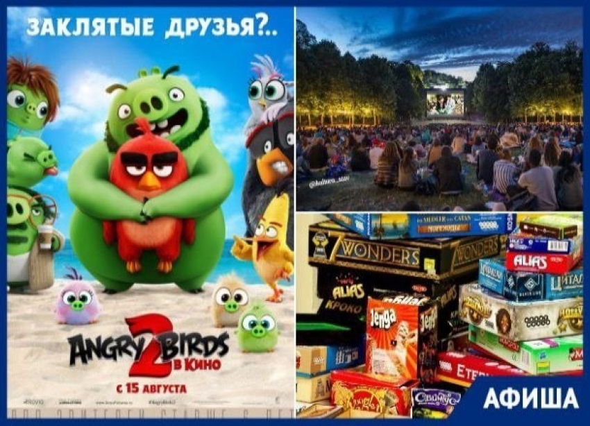 Ночь кино, настольные игры  и премьера «Angry Birds»: ставропольчан ждет насыщенная неделя