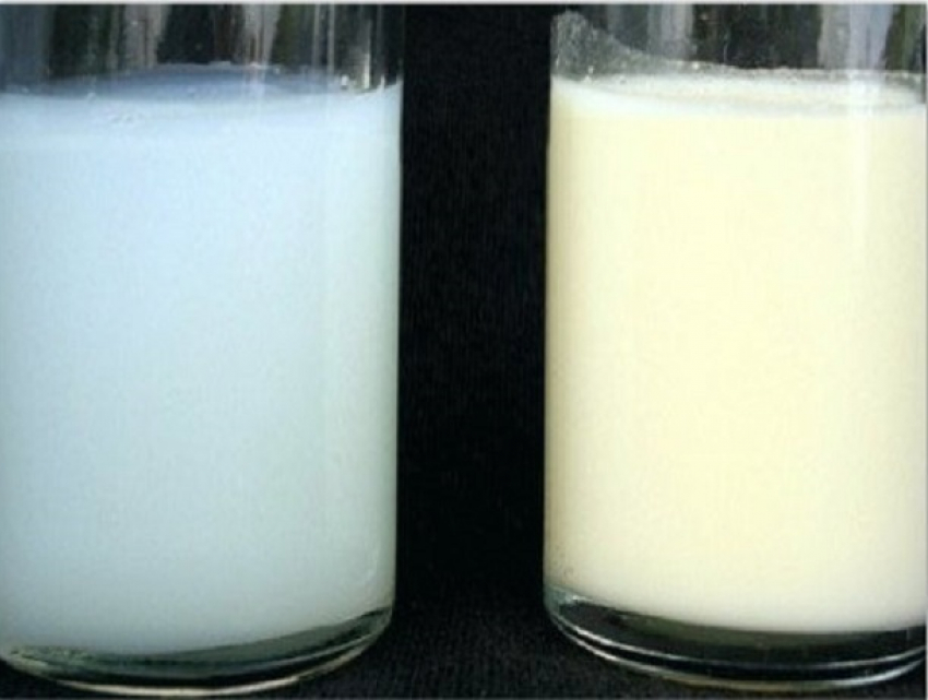 Молоко окончание слова. Переднее и заднее молодуо. Цвет молока. Заднее молоко. Грудное молоко.