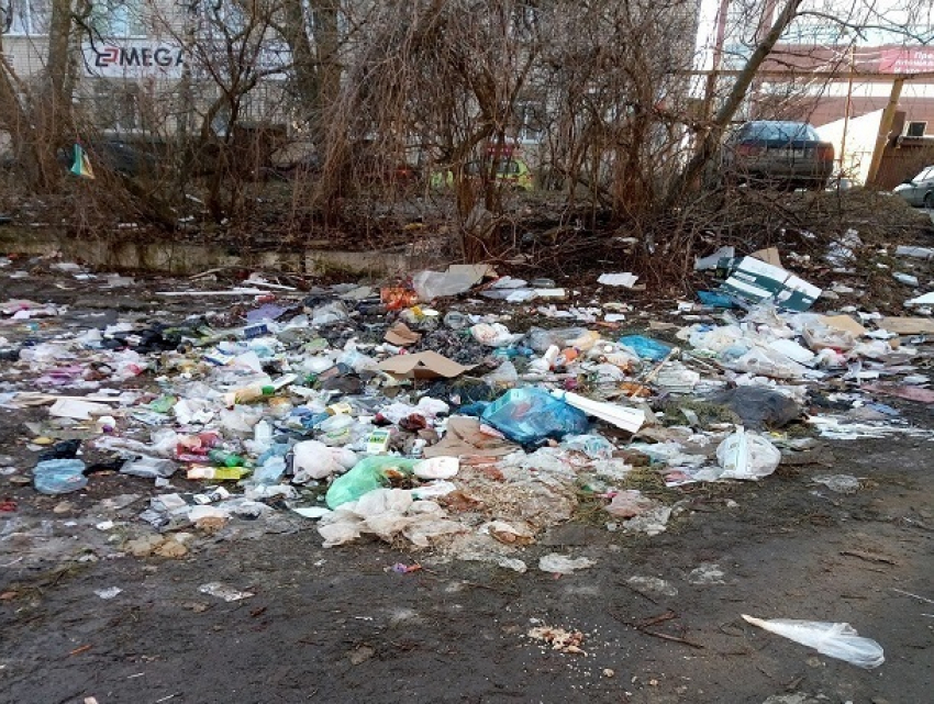 А сор и ныне там: жители пожаловались на безобразную свалку в центре Ставрополя 