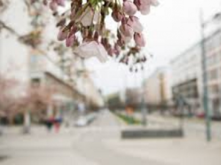 Небольшую облачность и +14 тепла пообещали Ставрополю метеорологи