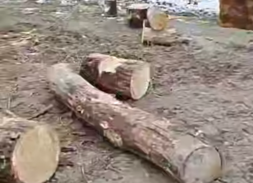 Вандалы разрушили купель в Невинномысске накануне Крещения 