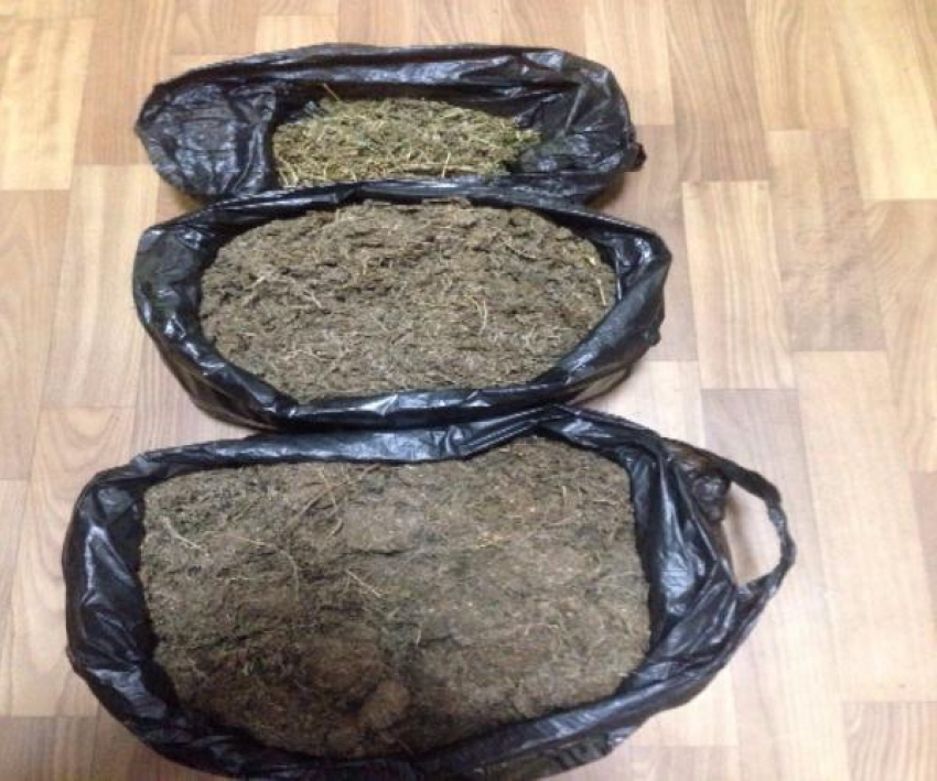 3 кг марихуаны нашли у ставропольчанина дома