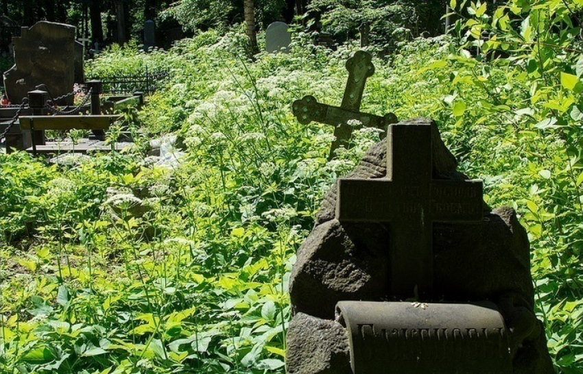 Кладбище в Зеленокумске стало свалкой