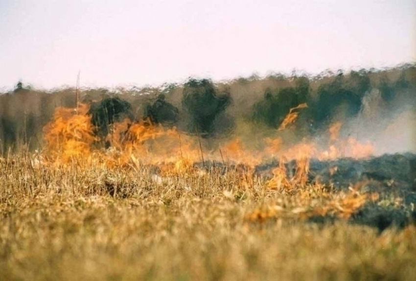 Чрезвычайная пожароопасность прогнозируется на Ставрополье из-за жары