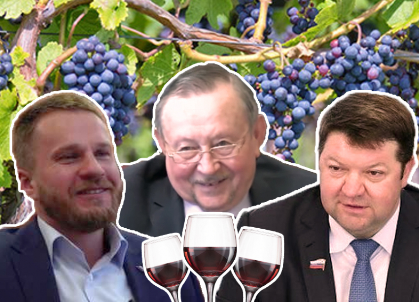 «Пьем!»: депутаты Ставрополья поддержали местных виноделов
