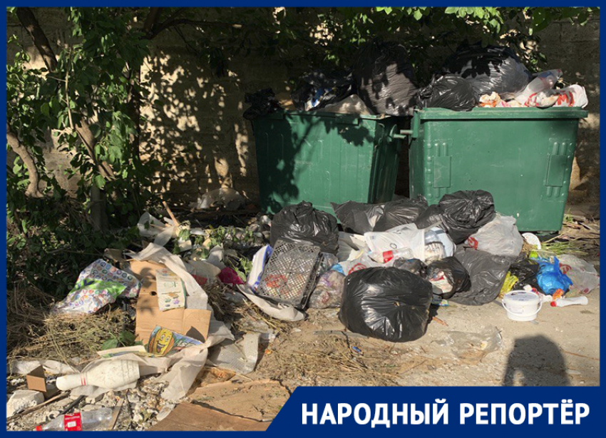 «Сделали раздолье для крыс»: жители Ставрополья негодуют маленьким количеством баков для мусора