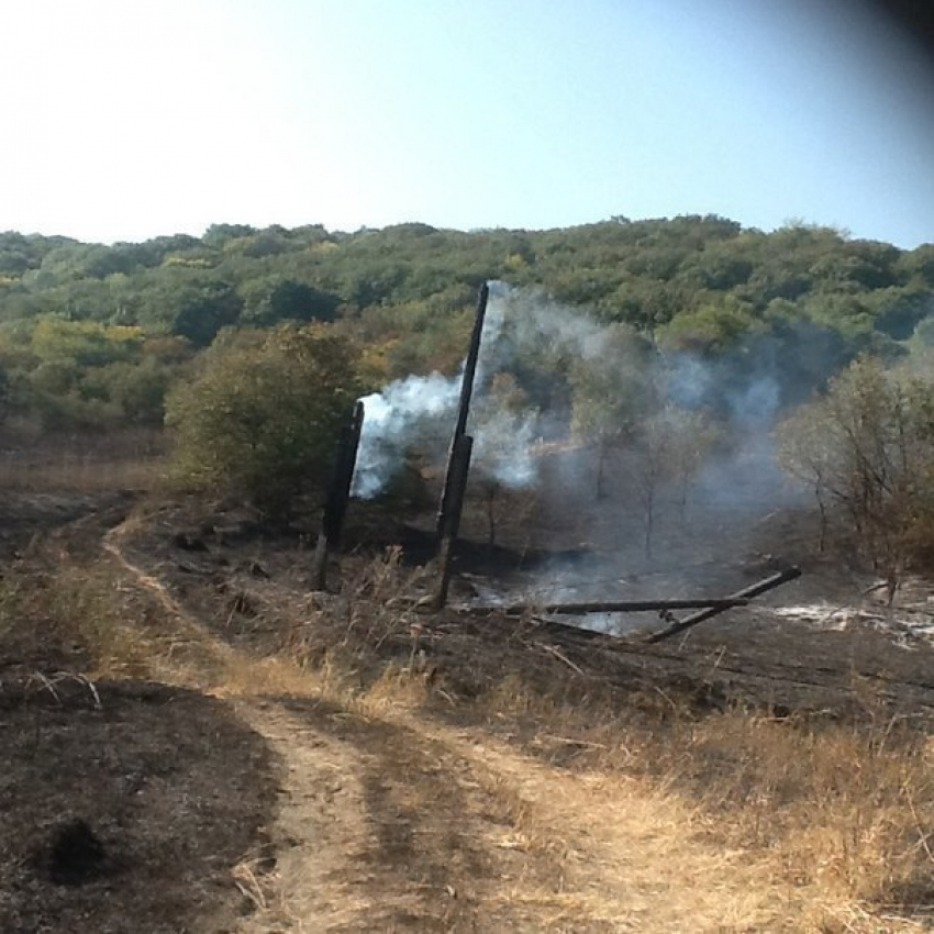 В Предгорном районе загорелась линия электропередач