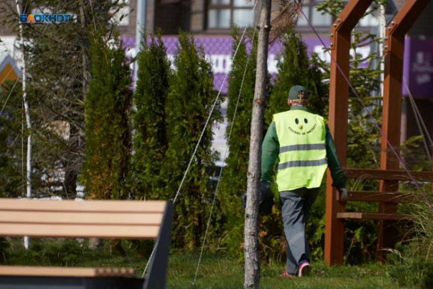 И 100 тысяч не прельщают: пять самых дефицитных профессий назвали на Ставрополье