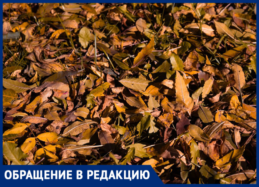 Почему в Ставрополе пахнет гарью и дымом: назвали возможную причину и дали алгоритм действий для горожан